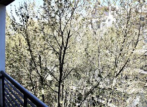 Balcony view - Studio Guatemala - By Hart (Buenos Aires)