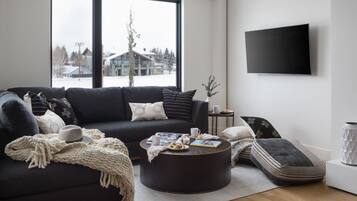 Televisión y chimenea