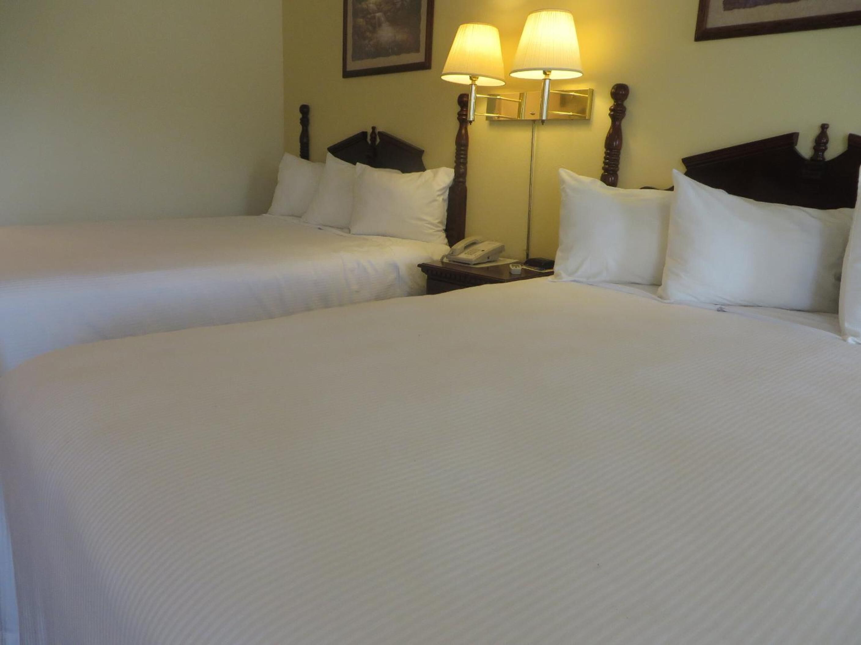 basic double room | 1 bedroom, individually decorated, individually furnished, desk