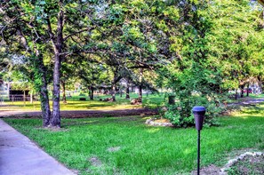 Ein Park mit Bäumen, einem Weg und einem Mülleimer.