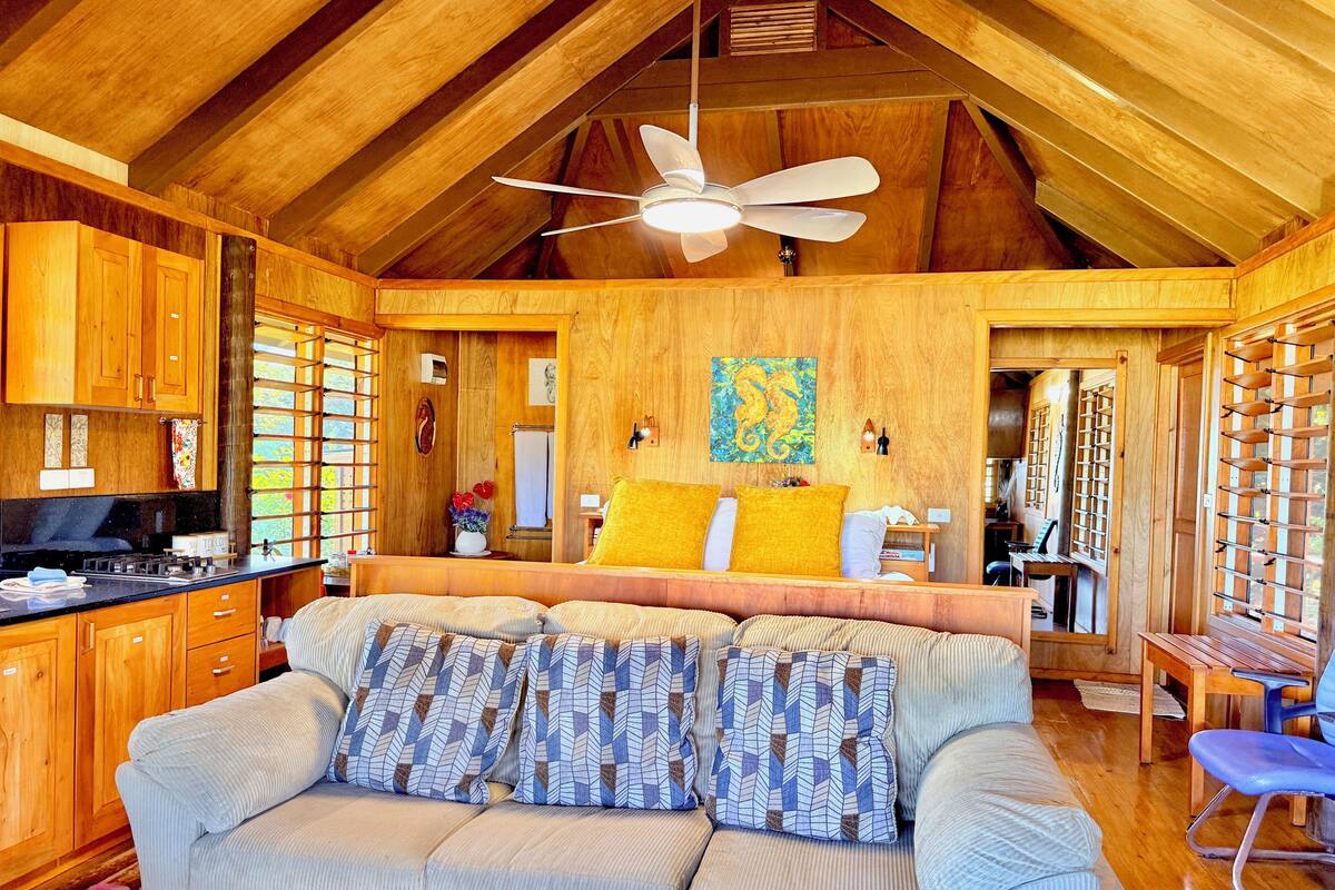 Suite Studio Panoramique, 1 très grand lit, cuisine, en front de plage