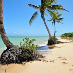 On the beach, white sand, free beach cabanas, sun-loungers