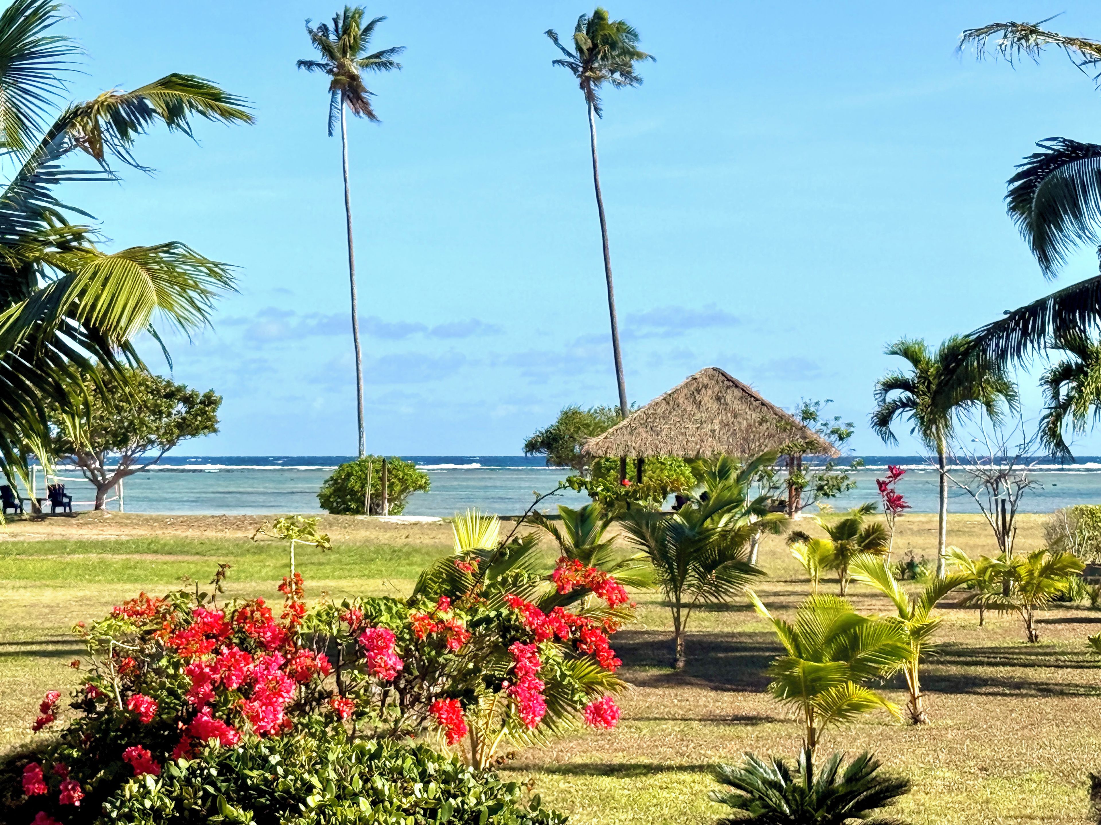 A tropical garden with palm trees, a thatched-roof hut, and a view of the ocean.