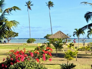 Un jardin tropical avec des palmiers, une hutte au toit de chaume et une vue sur l’océan.