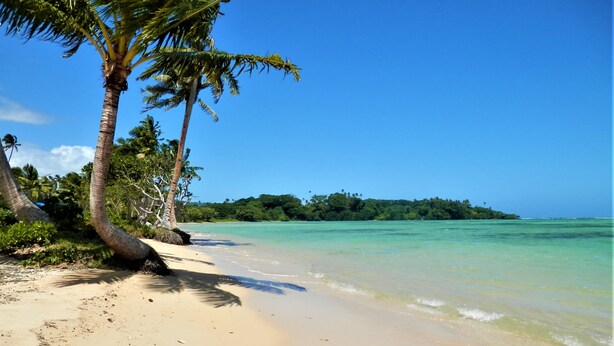 Une plage à l’eau turquoise et limpide, avec un rivage sablonneux et des palmiers.