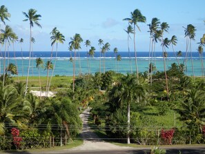 A pathway leading to a beach with palm trees and ocean views.