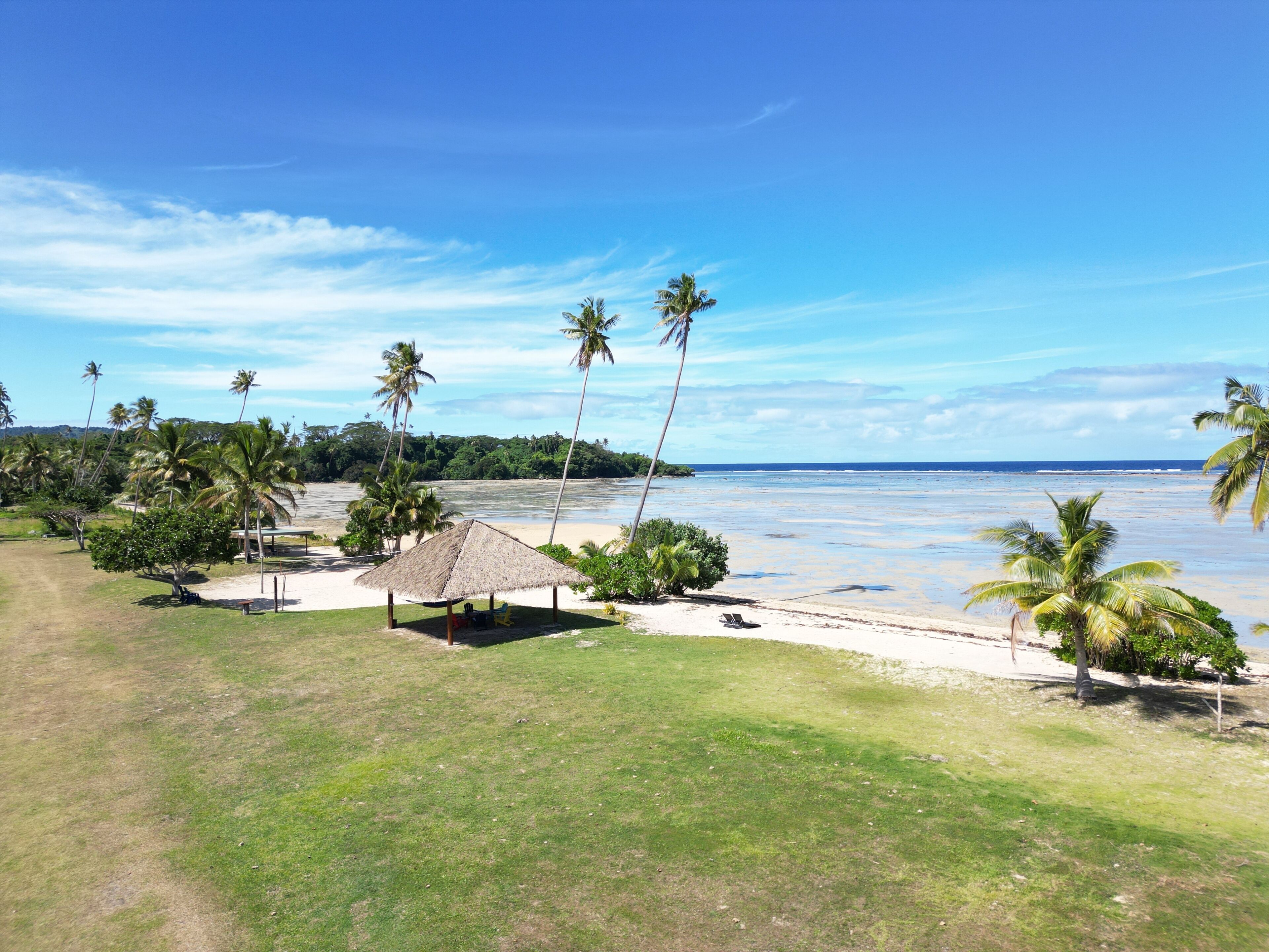 A beach with a thatched-roof hut, palm trees, and a view of the ocean.