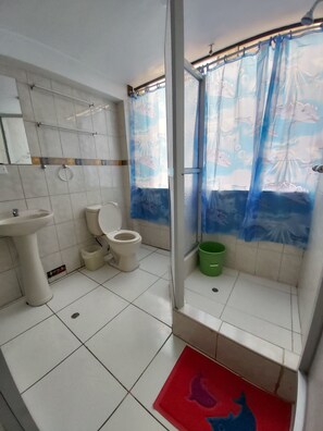 Een douche, een regendouche, een haardroger, handdoeken