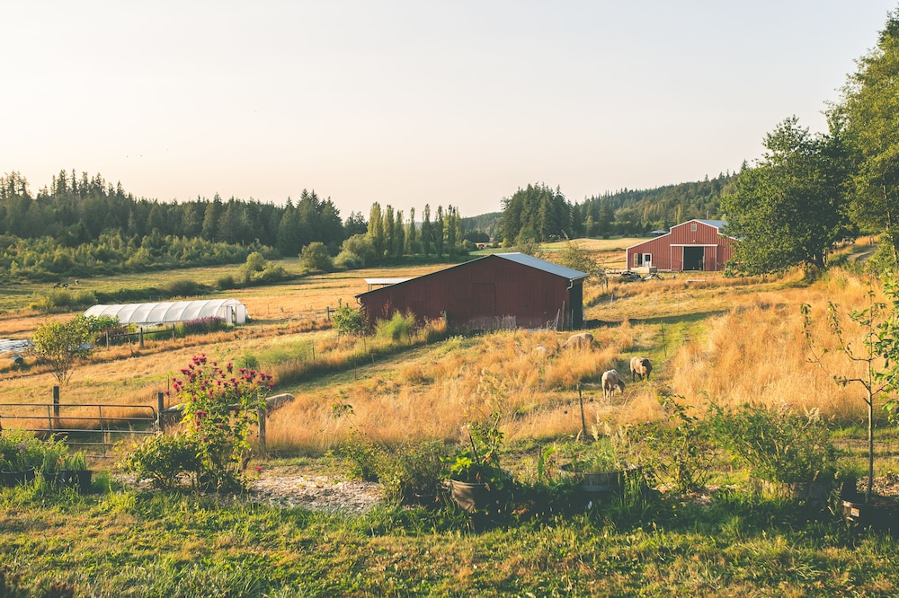 The Farmhouse Suite near Port Townsend, WA