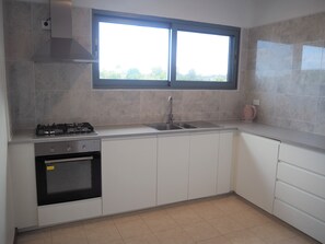 Family Apartment | Private kitchen | Full-size fridge, microwave, oven, stovetop
