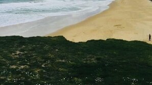 Una playa con una persona caminando por la orilla, olas suaves lamiendo la arena y un cielo nublado.