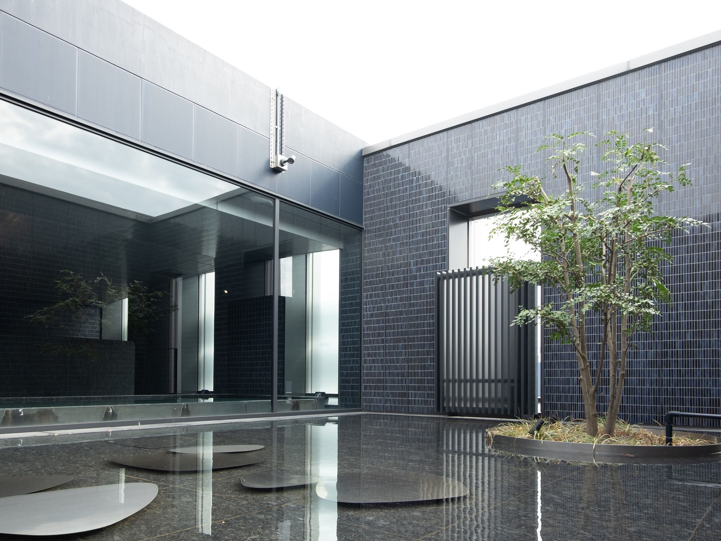 A modern building with large glass windows, a reflective floor, and a small tree in a planter.