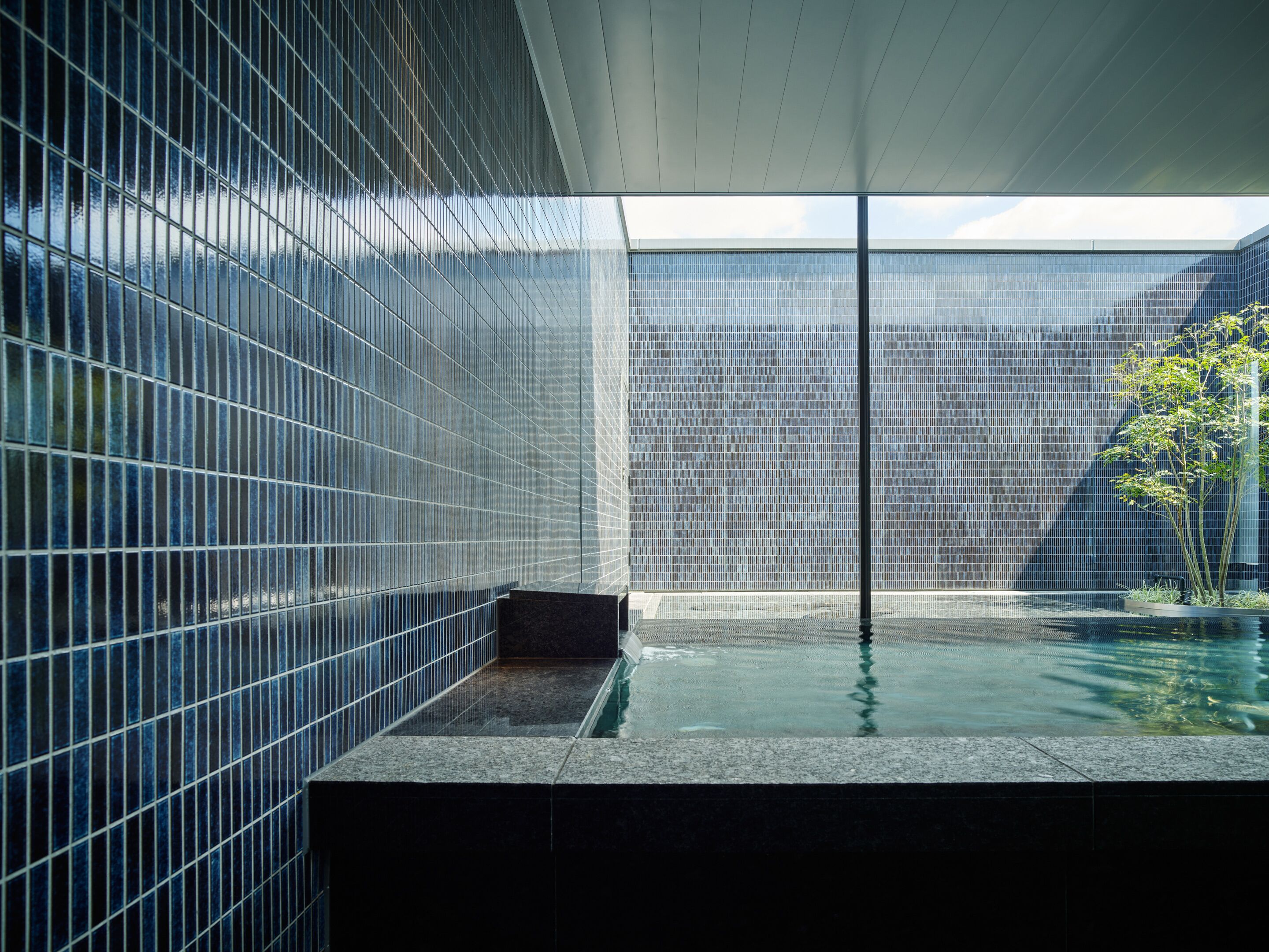 A modern interior with a glass wall, a pool, and a potted plant.