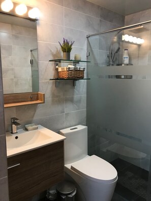 Combined shower/bathtub, hair dryer, towels, soap