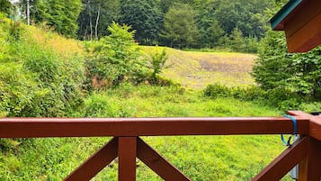 Une vue depuis un balcon doté d’une balustrade en bois, donnant sur un paysage verdoyant et luxuriant, avec une montagne en arrière-plan.