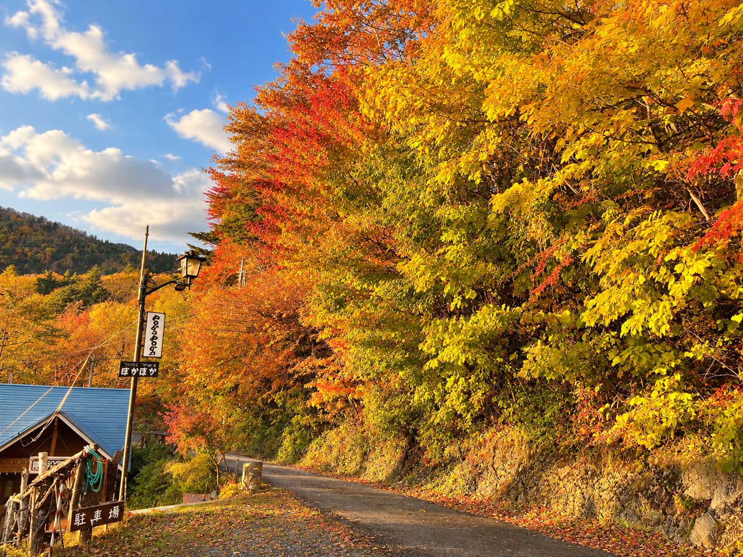 A rural road with autumn foliage, a small building with a blue roof, and a signboard.