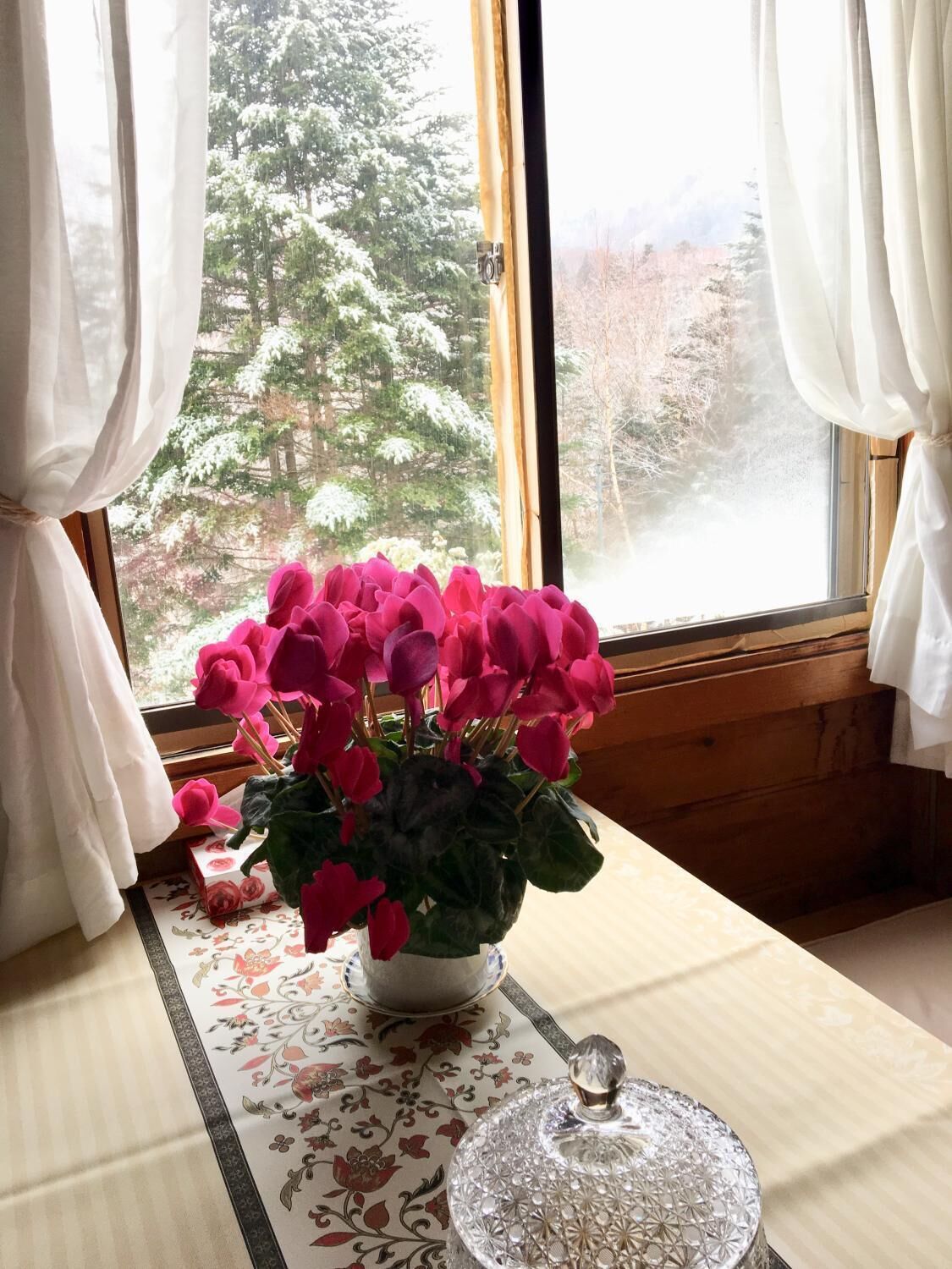 Sistema de insonorización, wifi gratis y ropa de cama 