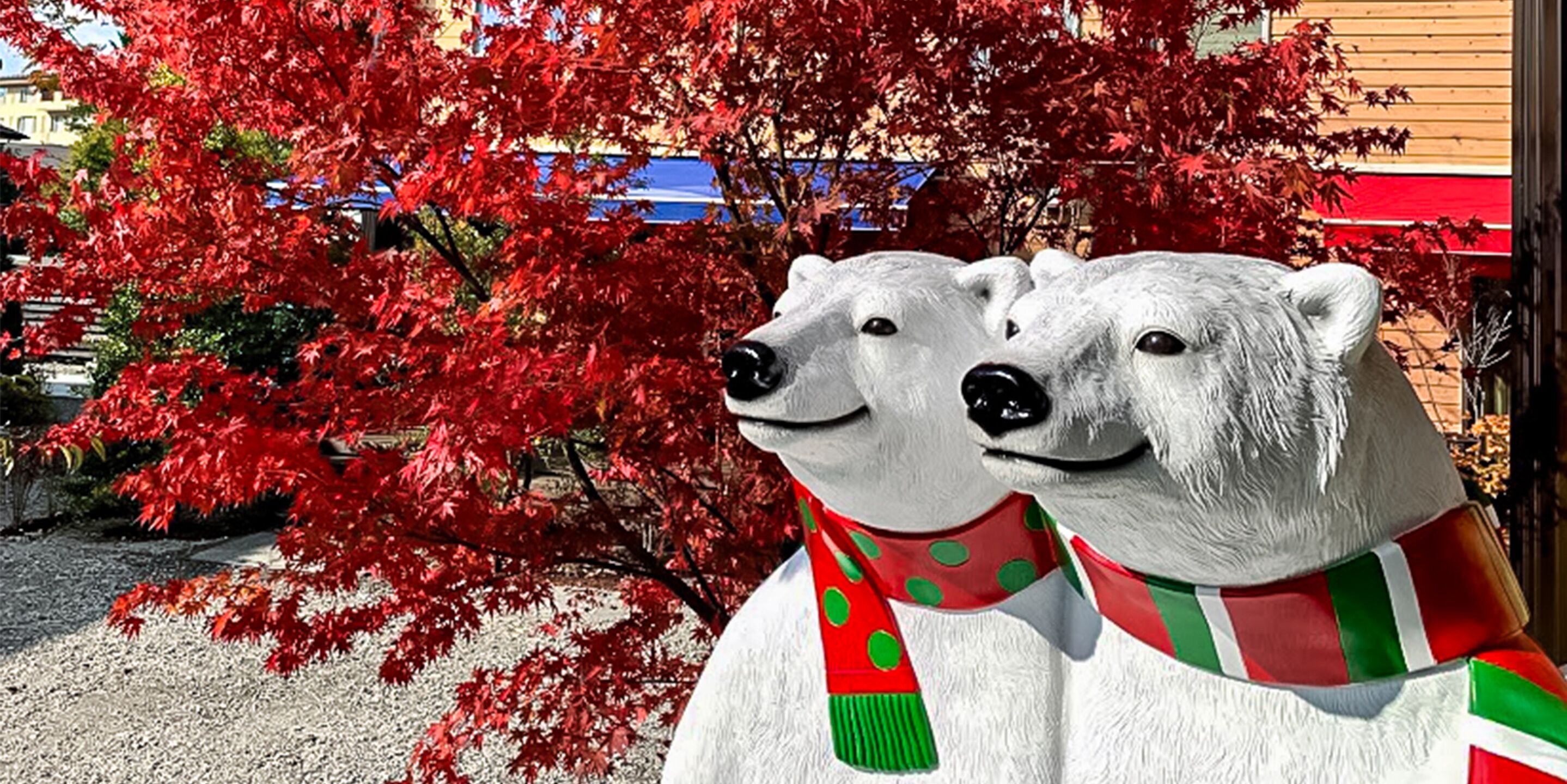 Dos estatuas de osos blancos con bufandas rojas y verdes, frente a un fondo de hojas de arce rojas y un edificio.