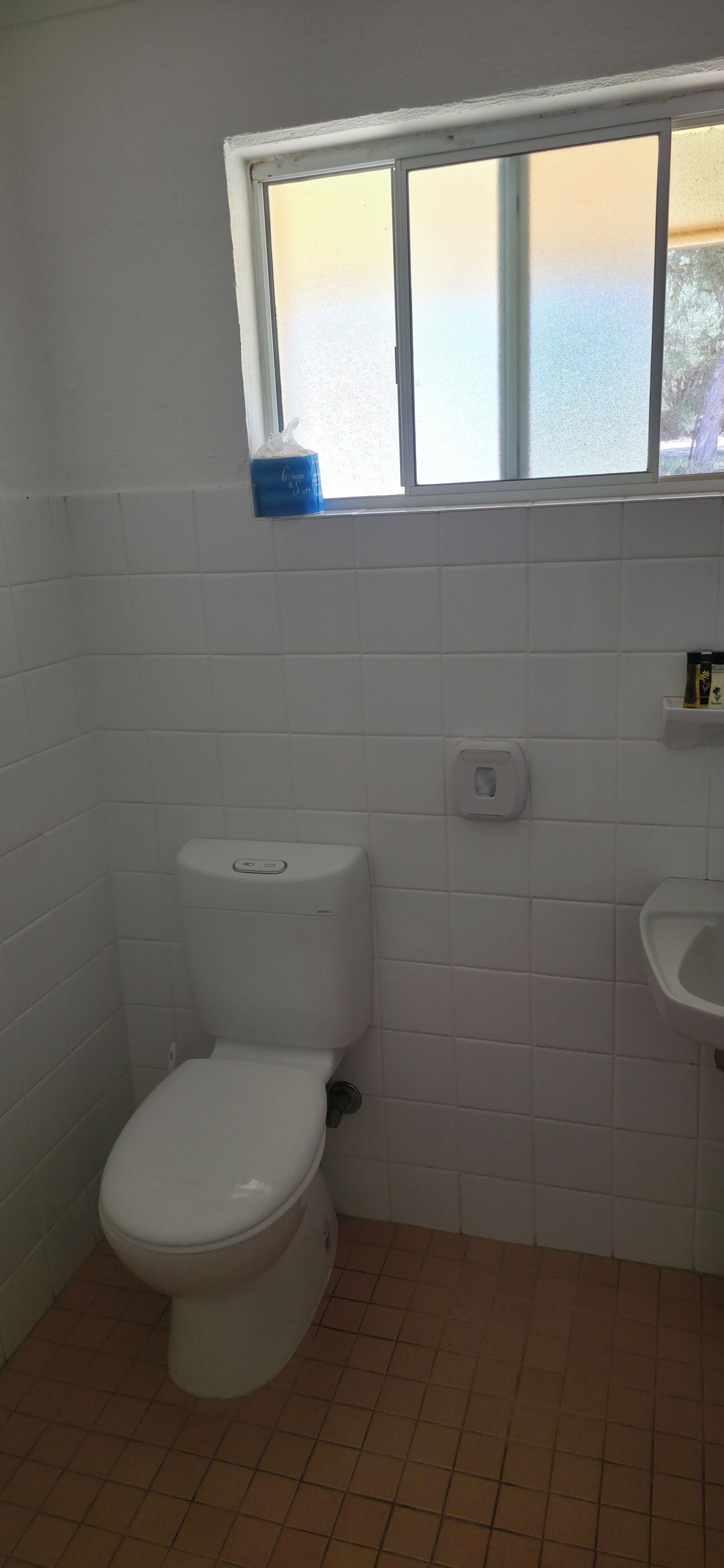 A small bathroom with a toilet, a window, and a sink.