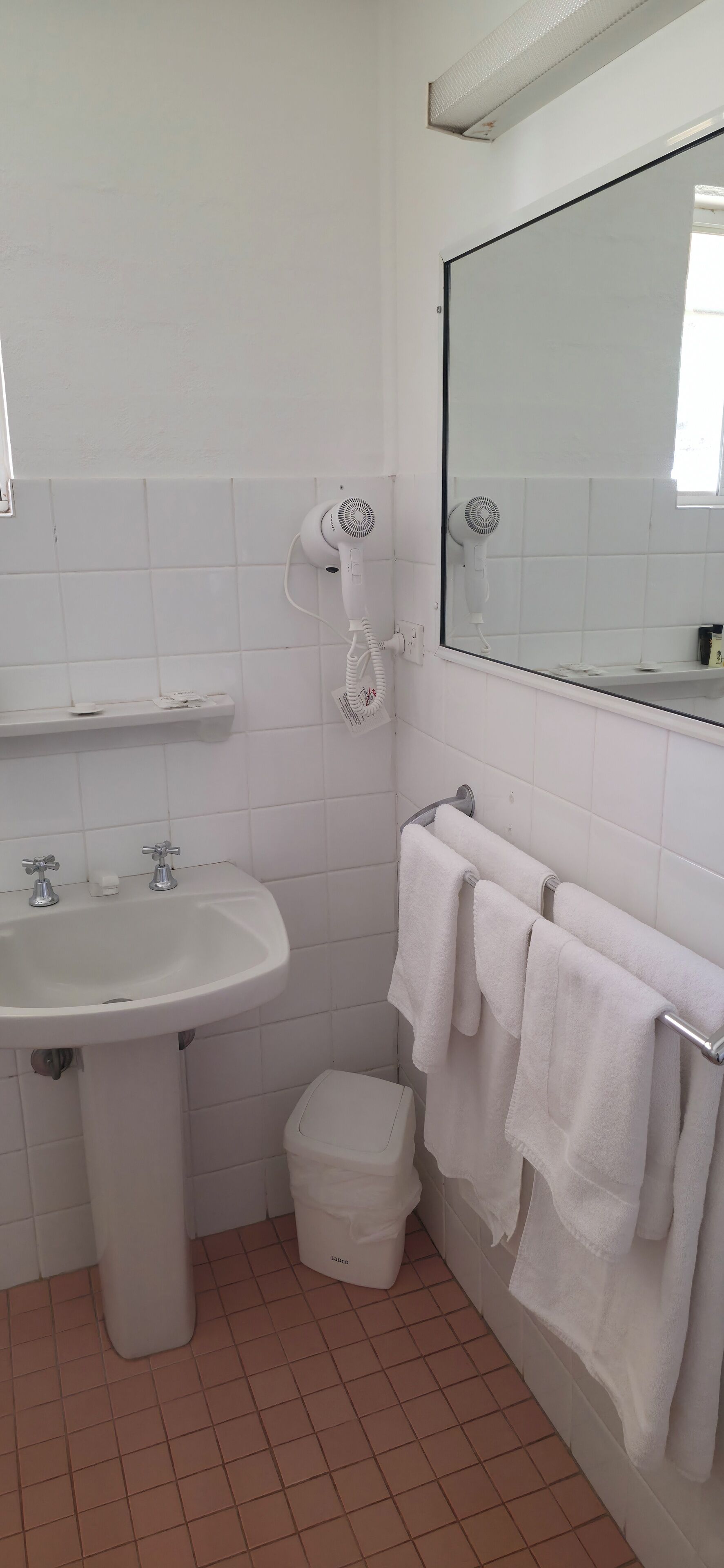 A bathroom with a white sink, a mirror, a hairdryer, and a towel rack.