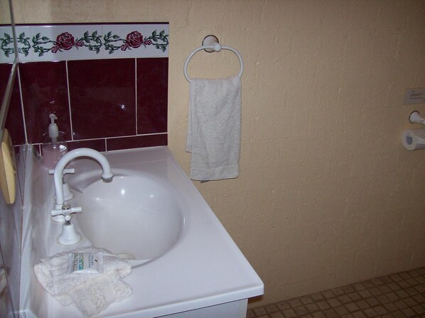 A bathroom with a white sink, a towel hanging on a ring, and a soap dispenser on the counter.