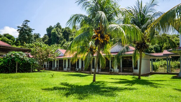 A tropical resort with palm trees, a well-maintained lawn, and a building with a red roof. - Hotel O Terap Inn Kuala Nerang (Kuala Nerang)