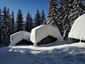 Skidåkning och snöaktiviteter