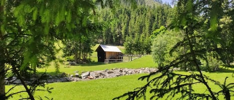Landuitzicht vanuit accommodatie