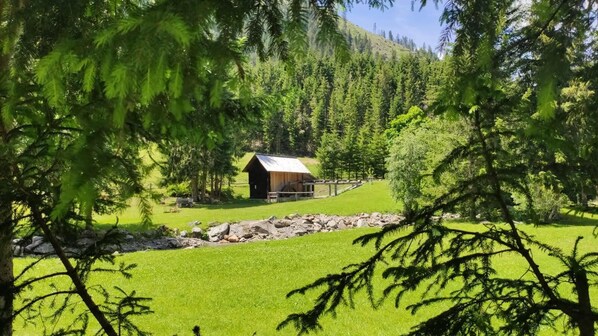 Vue sur la campagne depuis l’hébergement
