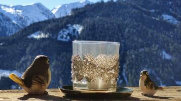 Vue depuis le balcon