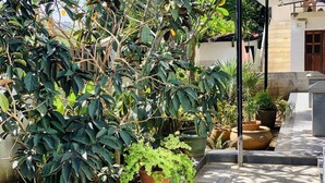 A garden area with potted plants and a tiled pathway. - Anba's (Trou aux Biches)