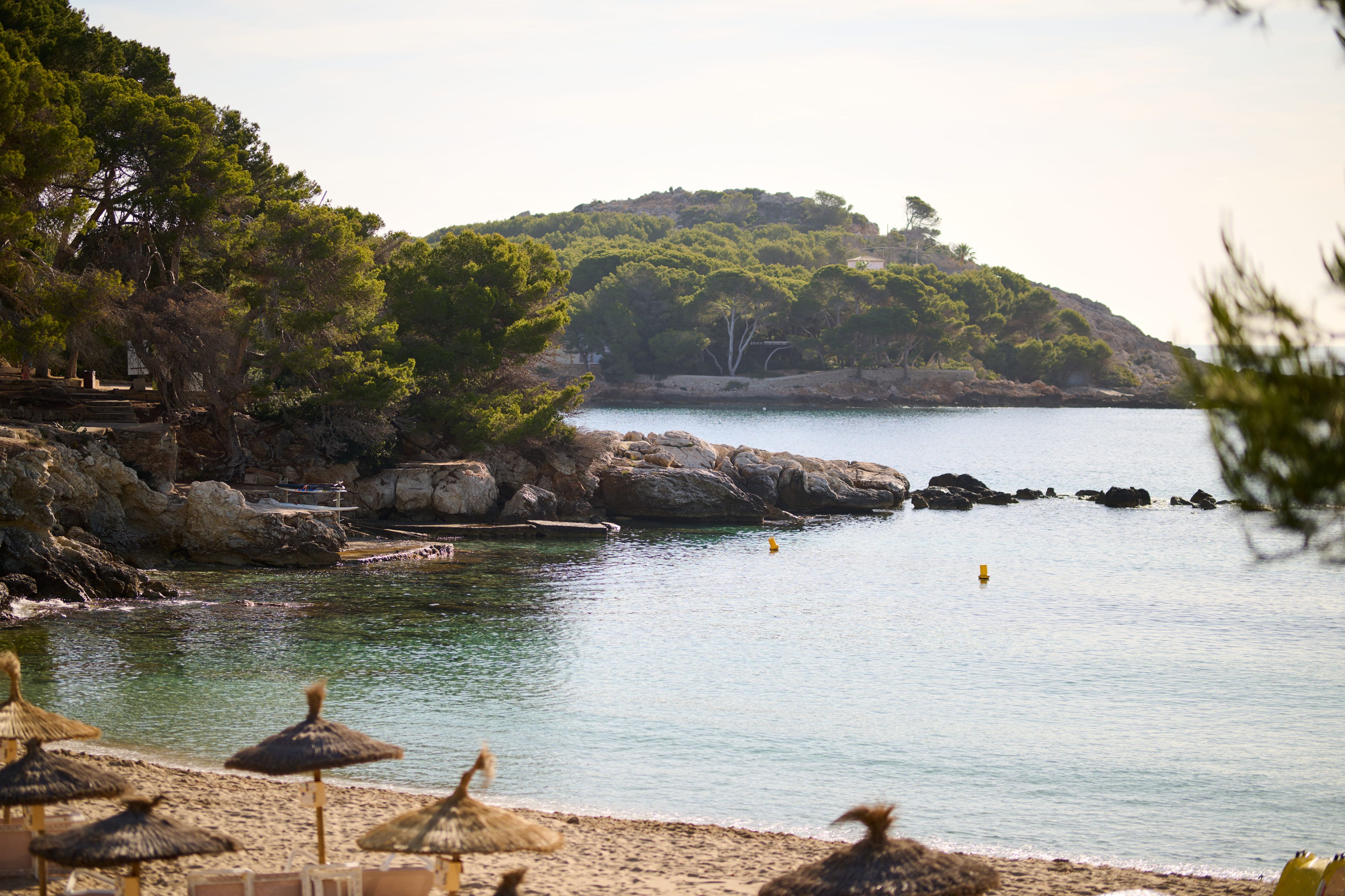 A beach with thatched umbrellas, calm water, rocky coastline, and a hill with trees.