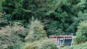 A modern building nestled among dense green foliage. - A yorkshire dale that sleeps 6 guests  in 3 bedrooms (Richmond)