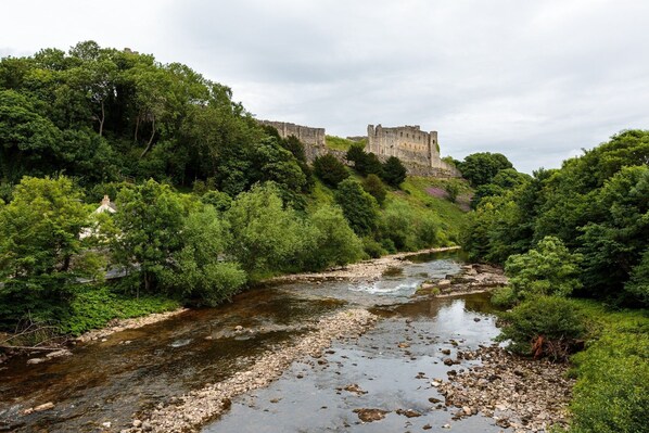 A river flowing through a forested area with a castle in the background.