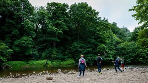 Un groupe de personnes se promène le long d’une rive rocheuse, bordée d’une végétation luxuriante.
