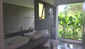 Shower, soap, shampoo, toilet paper