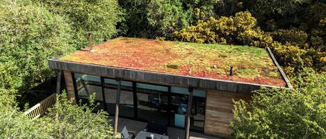 Una casa moderna con techo verde, rodeada de árboles frondosos.