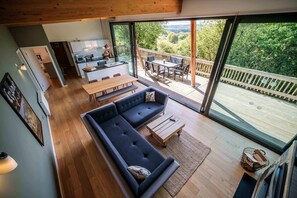 Televisión, chimenea y reproductor de DVD 