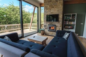 TV, fireplace, DVD player