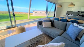 TV, fireplace, DVD player