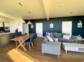 Televisión, chimenea, reproductor de DVD