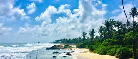 Playa