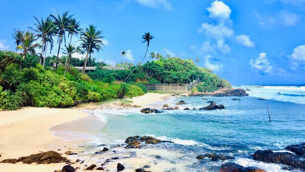 Une plage avec une eau d’un bleu limpide, un rivage sablonneux et des palmiers.