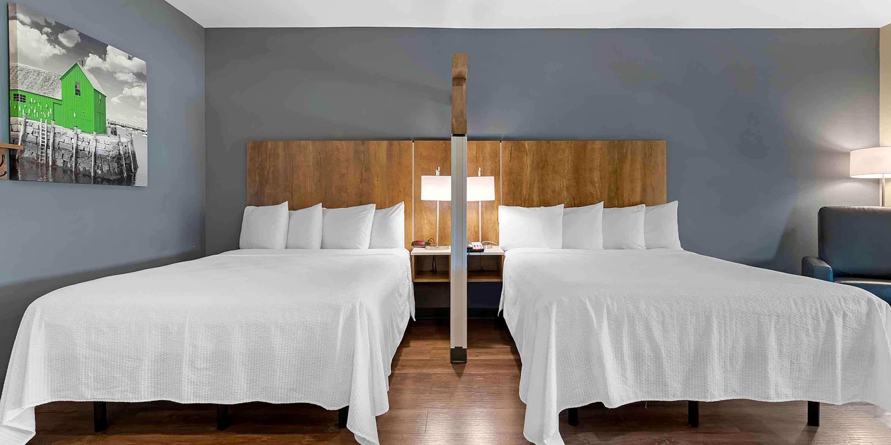 premium studio, 2 queen beds, non smoking, refrigerator (microwave) | premium bedding, desk, iron/ironing board, bed sheets