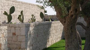A stone wall with cacti and a tree. - Kinanto Bioresort (Ispica)