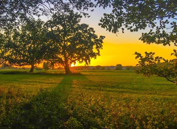 A tree-lined field with a sunset in the background. - Schloss Dretzel (Genthin)