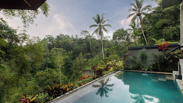 Una piscina rodeada de exuberante vegetación y palmeras, con un muro de piedra y plantas tropicales a lo largo del borde.