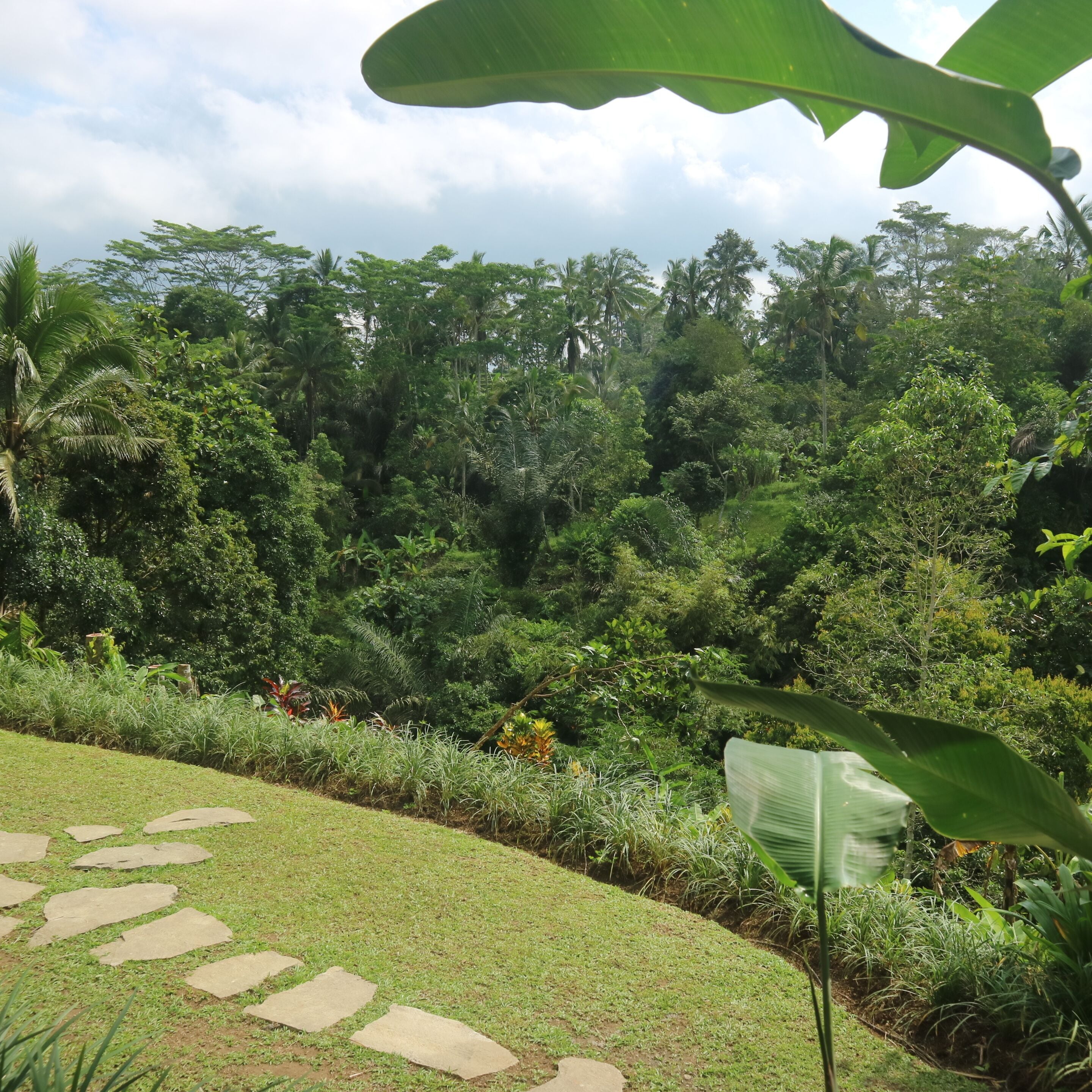 別墅, 1 間臥室, 私人泳池 | 庭園景