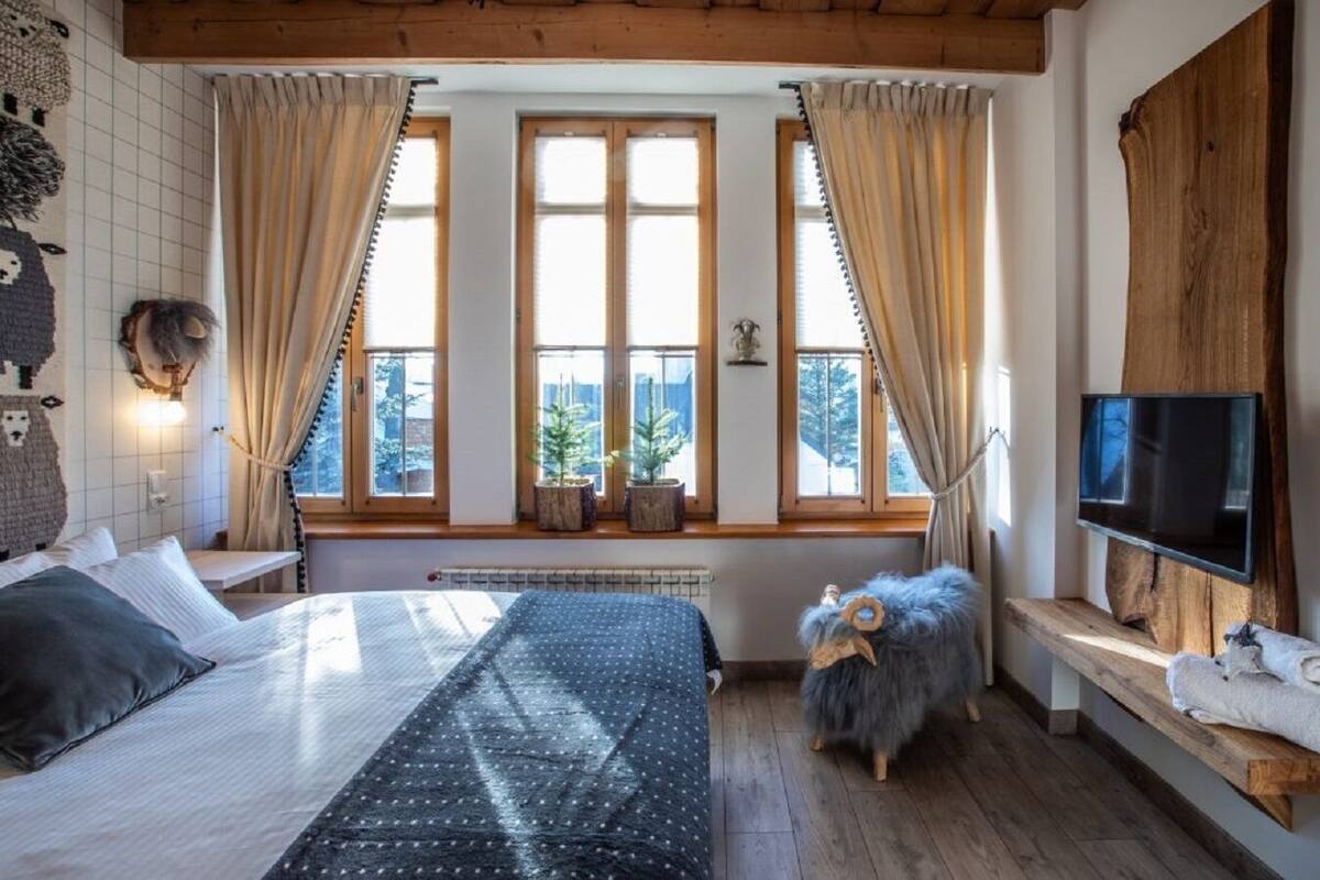 Een knus slaapkamer met een bed, een televisie, een raam met gordijnen, en een kleine hond.
