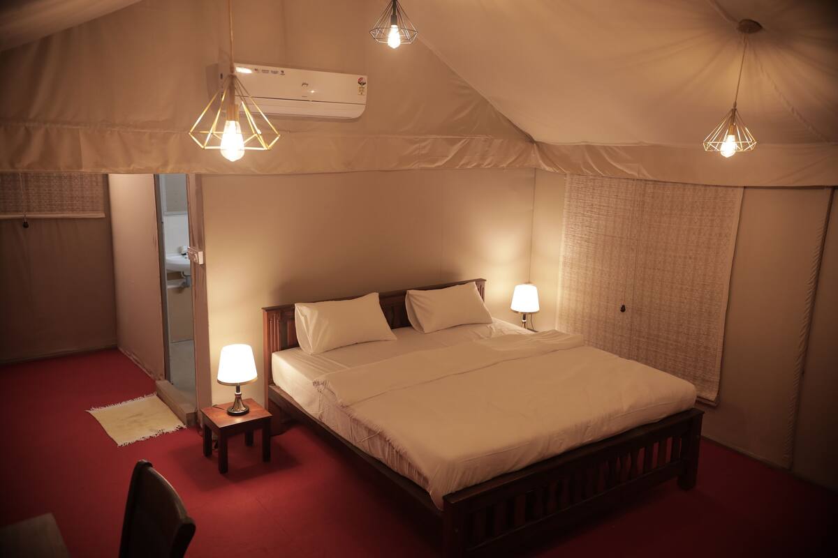 A bedroom with a large bed, two bedside lamps, a wooden headboard, a red carpet, and a ceiling fan.